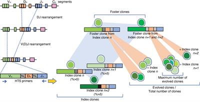 Immunoglobulin Heavy Chain High-Throughput Sequencing in Pediatric B-Precursor Acute Lymphoblastic Leukemia: Is the Clonality of the Disease at Diagnosis Related to Its Prognosis?